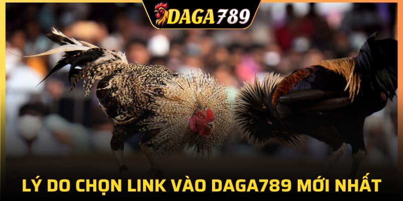 Lý do nên chọn link vào DAGA789 mới nhất